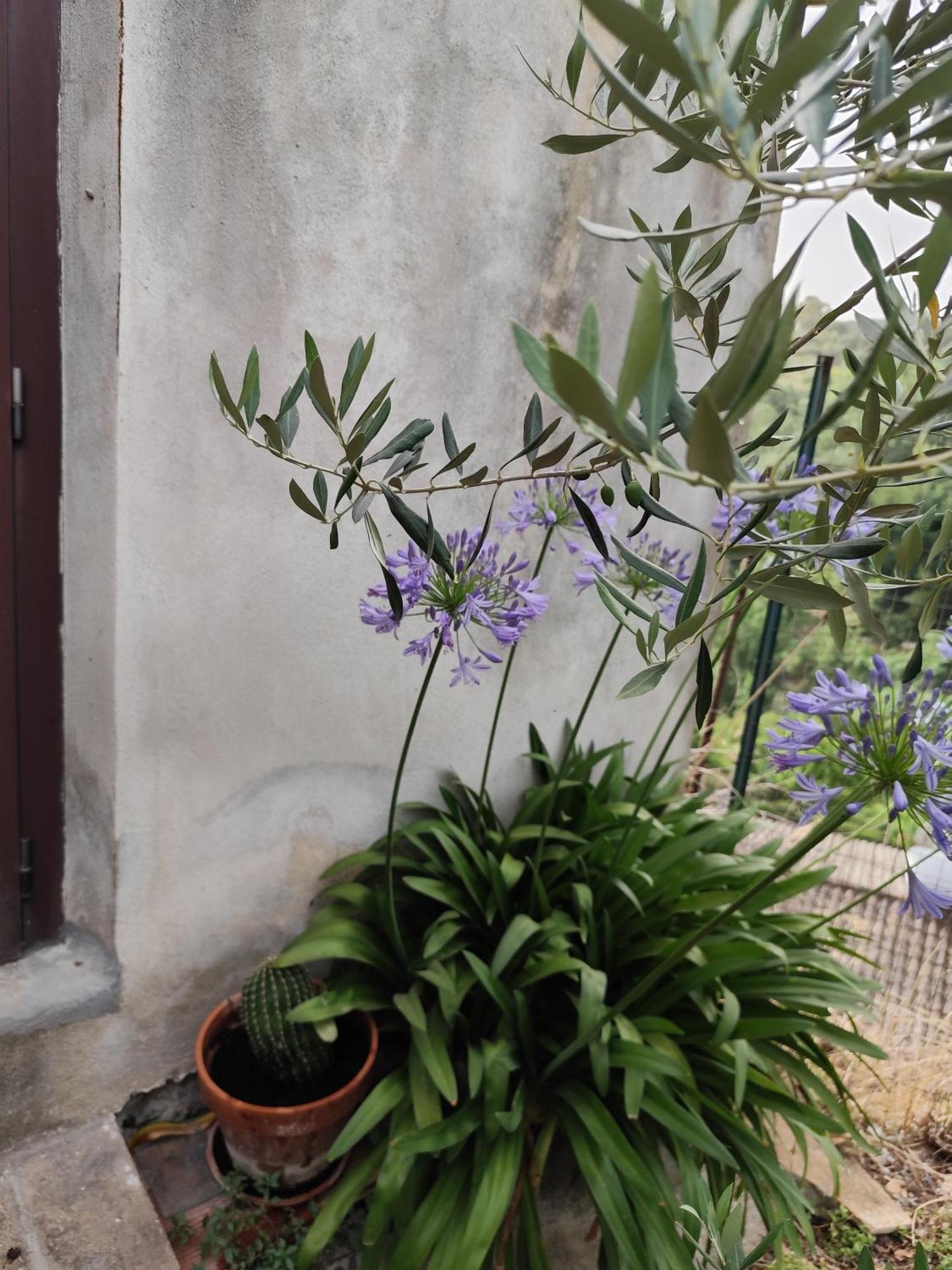Casa In Antico Borgo Medievale A Tarano Ri, Via Giacomo Leopardi, 15 Villa Exterior photo